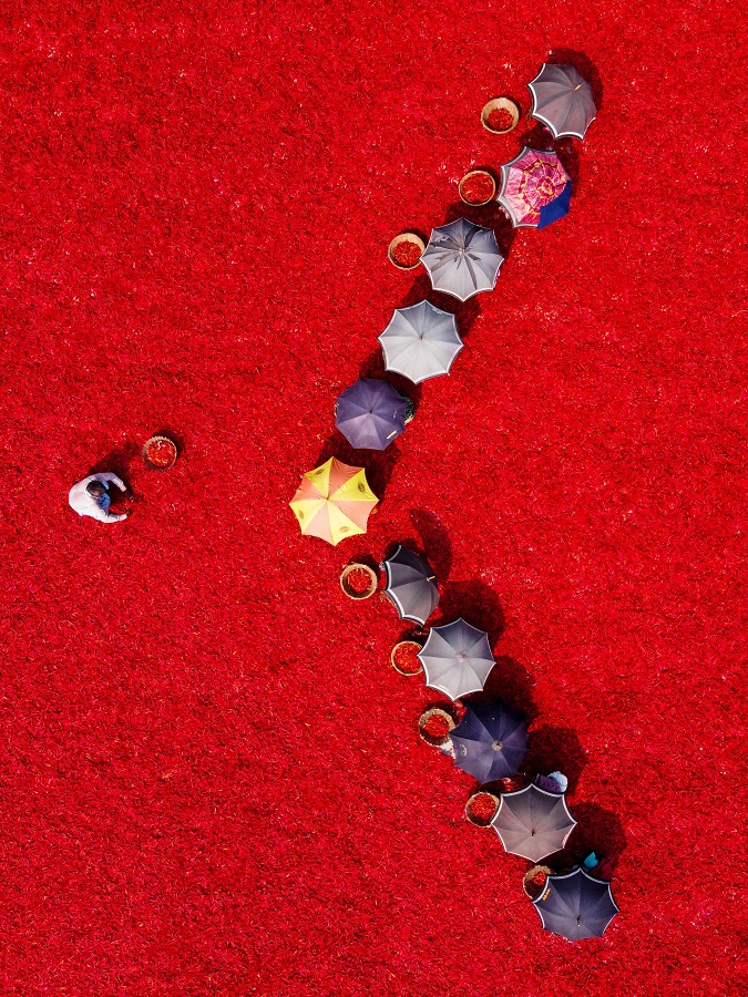 IC Photo(qun)ƷՈ(qng)D(zhun)d