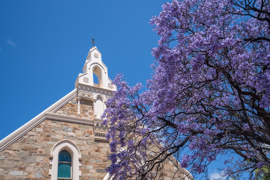 IC Photo(qun)ƷՈ(qng)D(zhun)d