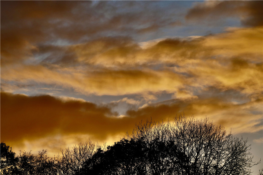 IC Photo(qun)ƷՈD(zhun)d