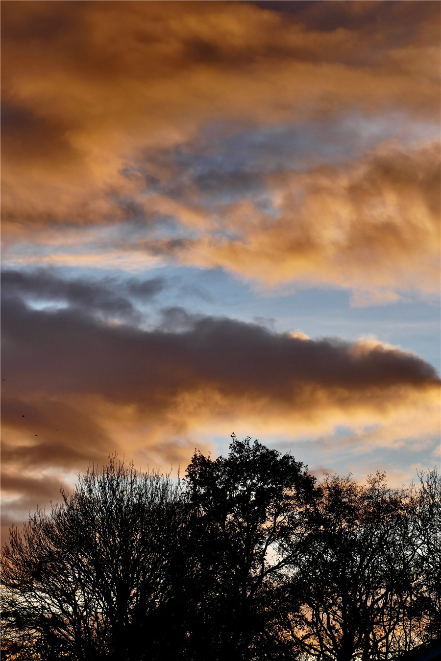 IC Photo(qun)ƷՈD(zhun)d