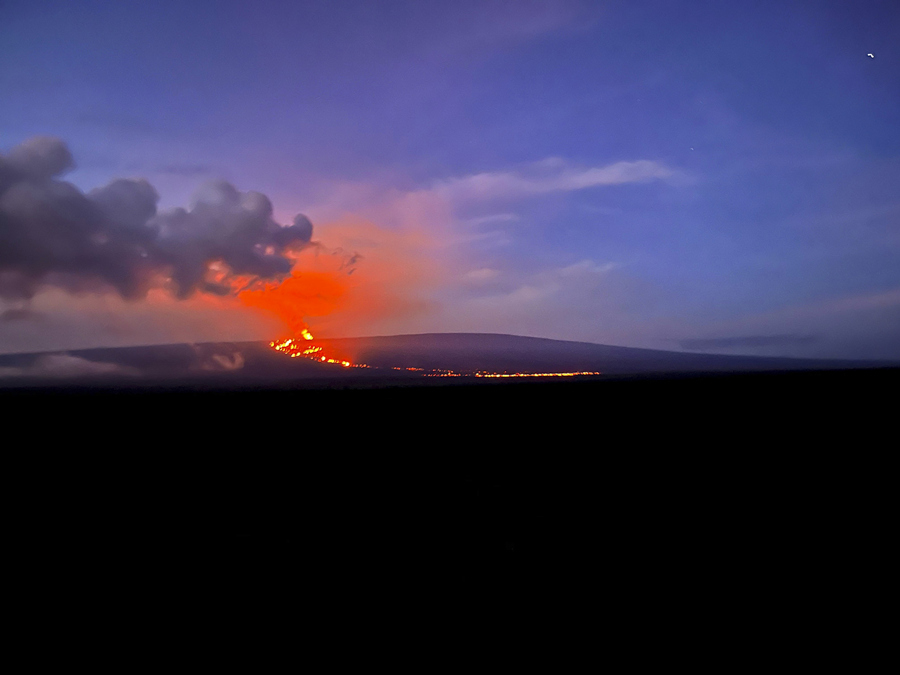 ICPhotoƷՈDd