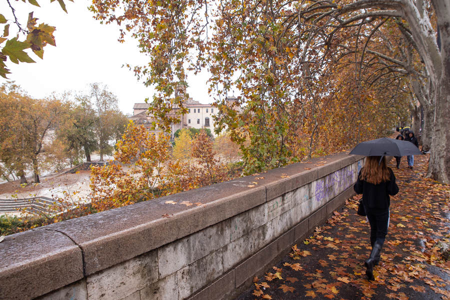 ICPhoto(qun)ƷՈD(zhun)d