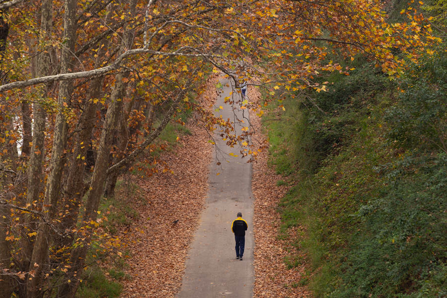 ICPhoto(qun)ƷՈ(qng)D(zhun)d