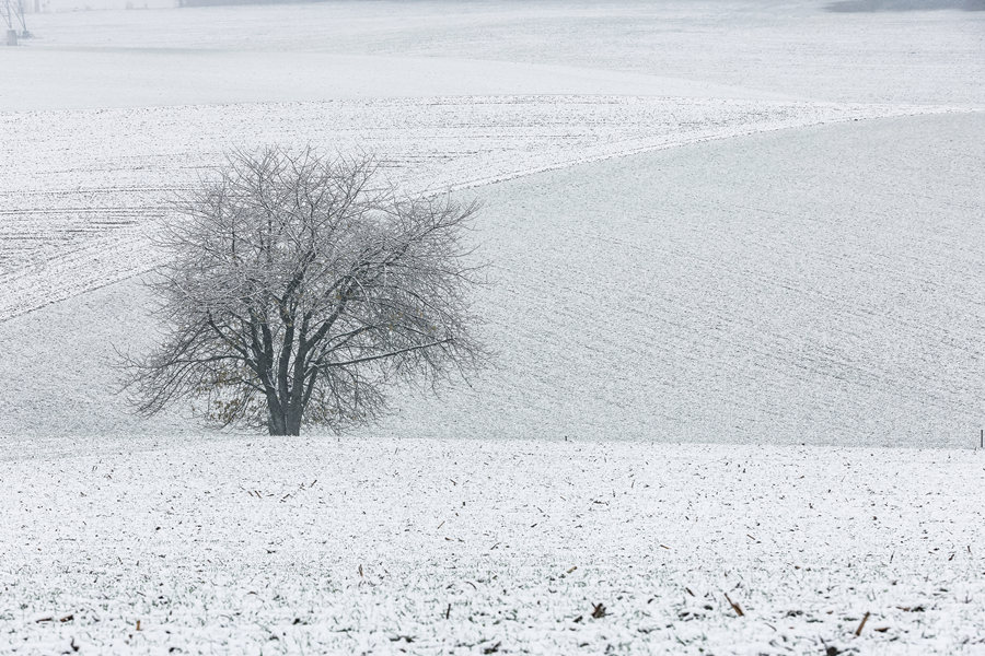 ICPhoto(qun)ƷՈD(zhun)d