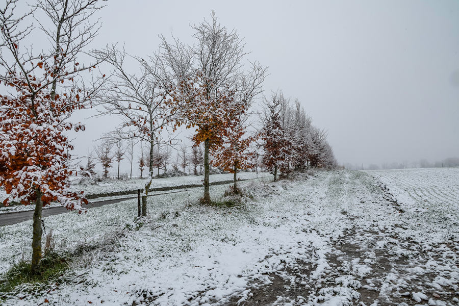 ICPhoto(qun)ƷՈD(zhun)d