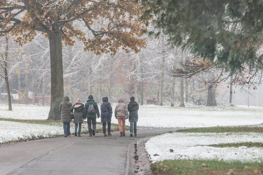 ICPhoto(qun)ƷՈD(zhun)d