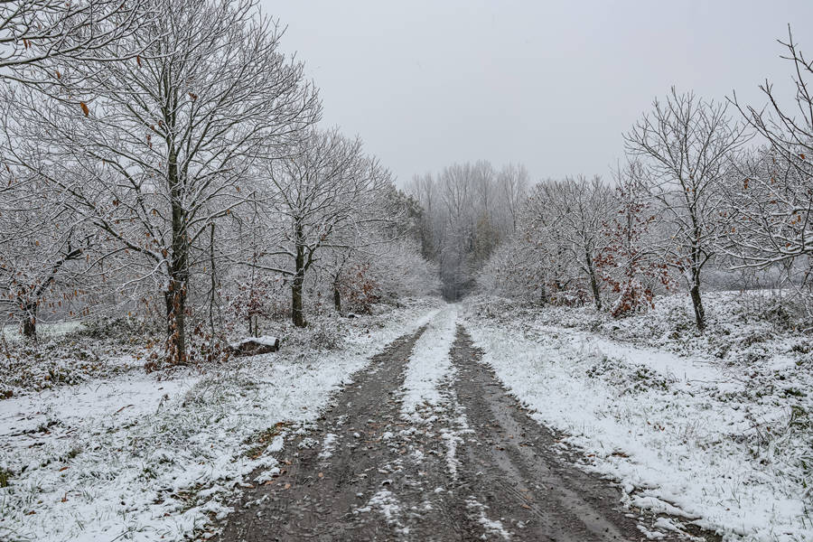 ICPhoto(qun)ƷՈD(zhun)d