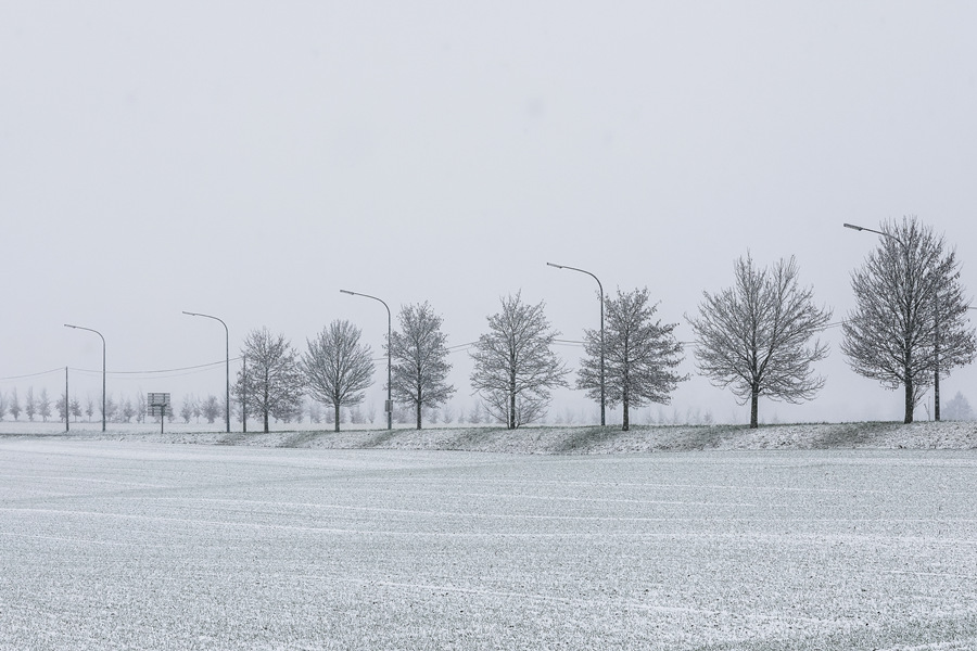 ICPhoto(qun)ƷՈ(qng)D(zhun)d