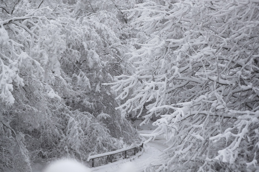 ICPhoto(qun)ƷՈ(qng)D(zhun)d