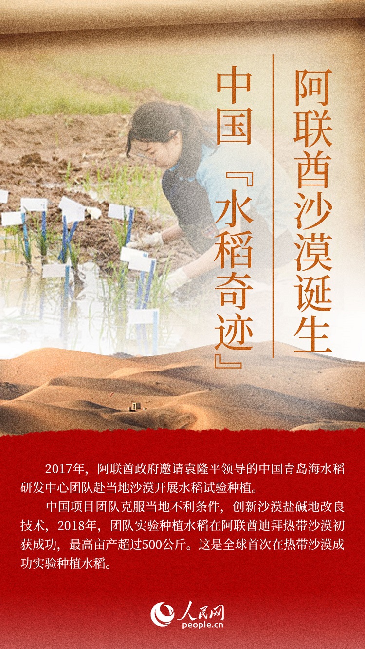 海報(bào):絲路上的中阿文明交流故事【8】