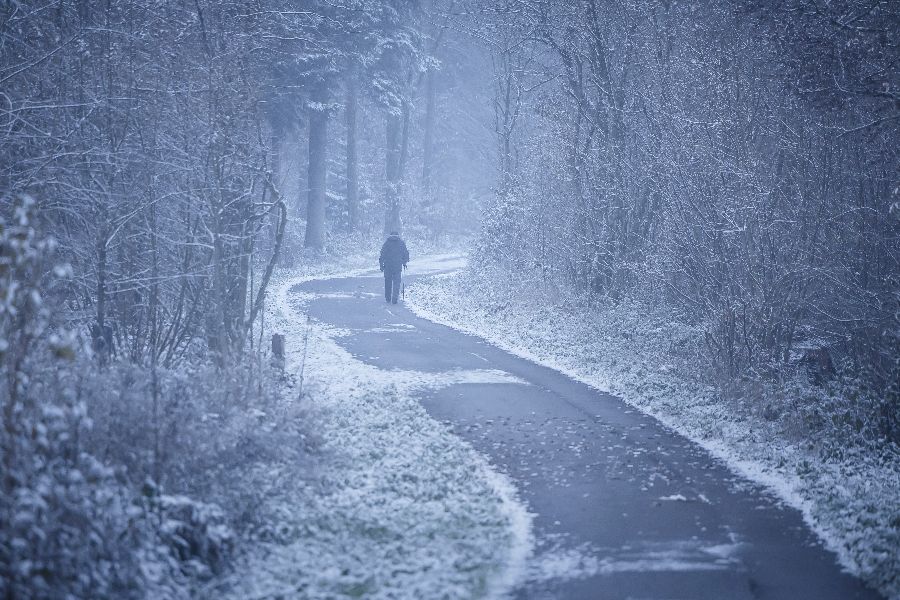 ICPhoto(qun)ƷՈD(zhun)d