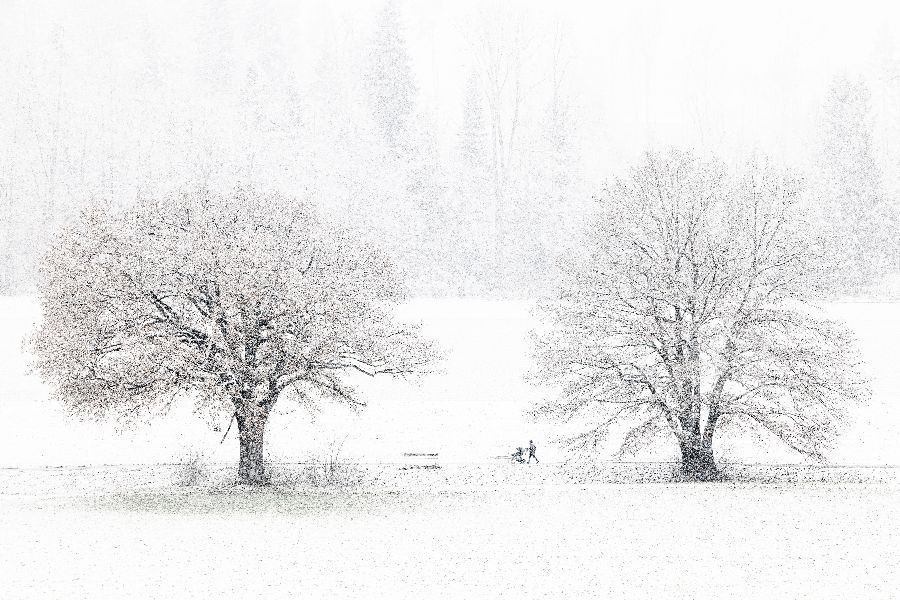 ICPhoto(qun)ƷՈ(qng)D(zhun)d