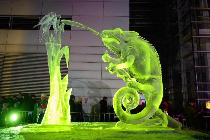 ICPhoto(qun)ƷՈ(qng)D(zhun)d