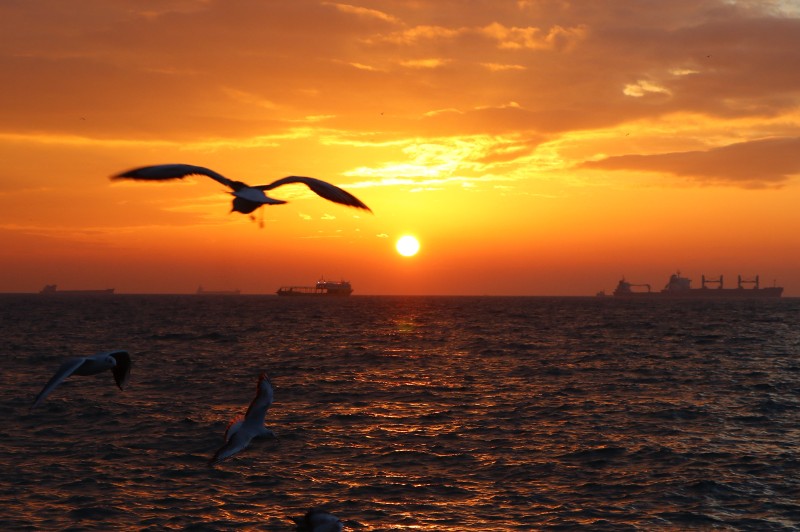 ICPhoto(qun)ƷՈD(zhun)d