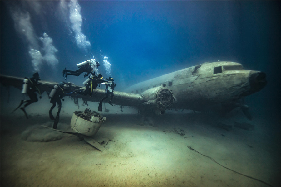 IC Photo(qun)ƷՈ(qng)D(zhun)d