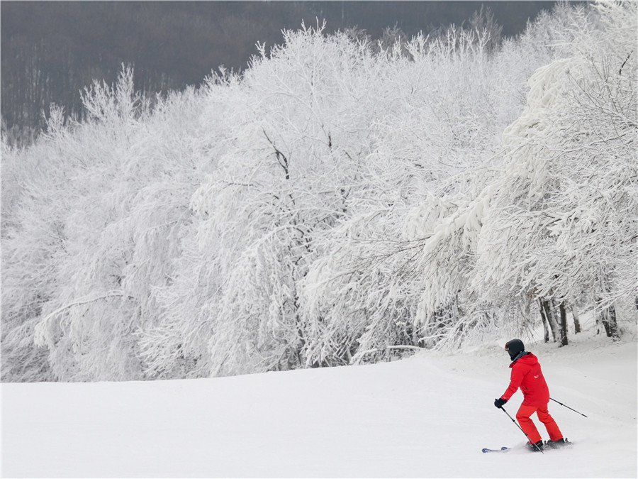 IC Photo(qun)ƷՈ(qng)D(zhun)d