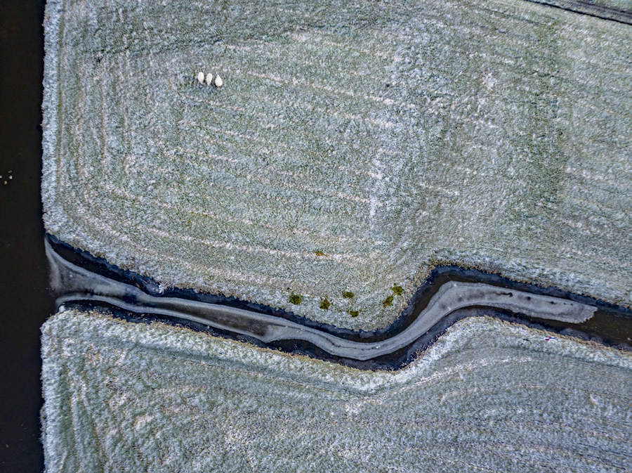 ICPhoto(qun)ƷՈ(qng)D(zhun)d