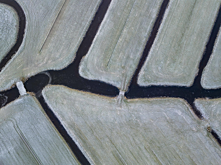 ICPhoto(qun)ƷՈD(zhun)d