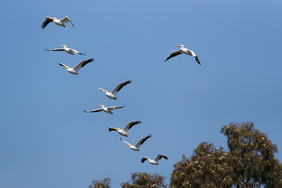 ICPhoto(qun)ƷՈD(zhun)d