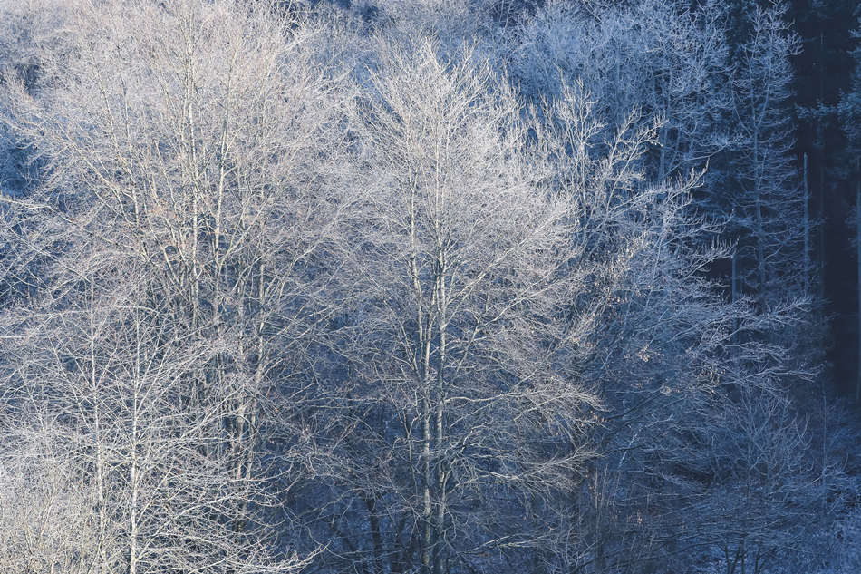 ICPhoto(qun)ƷՈD(zhun)d