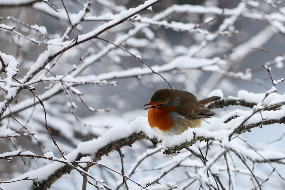 ICPhoto(qun)ƷՈ(qng)D(zhun)d