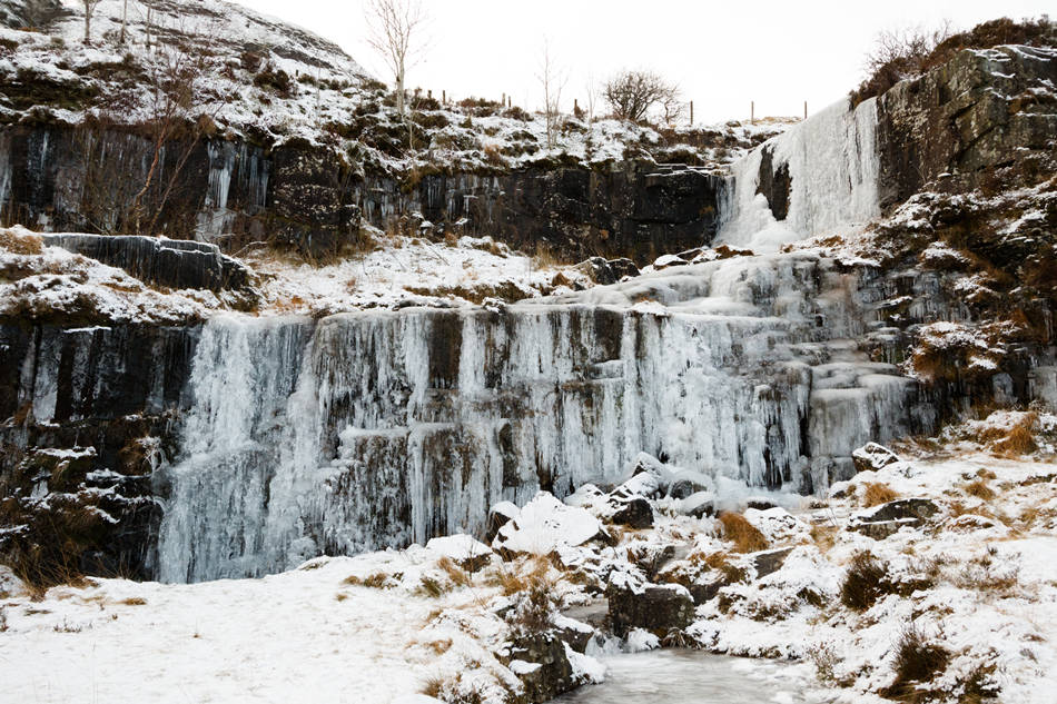 ICPhoto(qun)ƷՈD(zhun)d