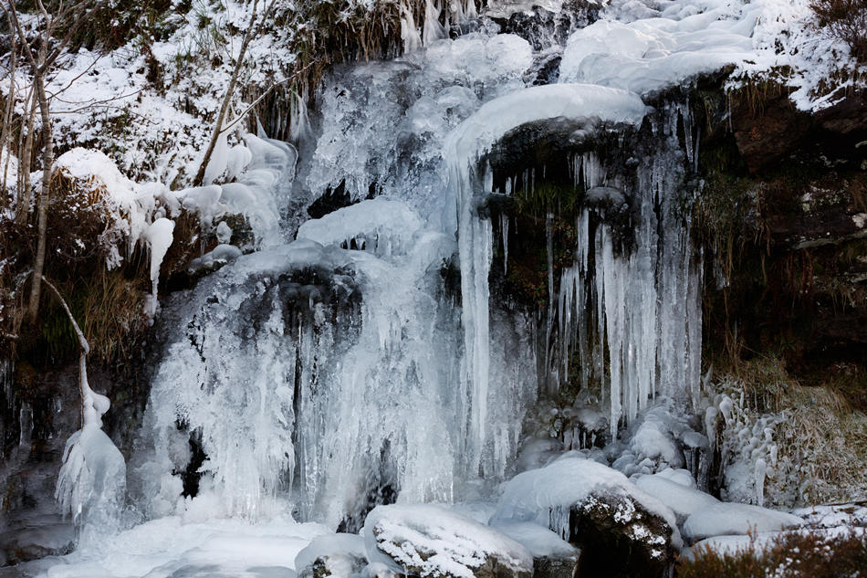 ICPhoto(qun)ƷՈ(qng)D(zhun)d