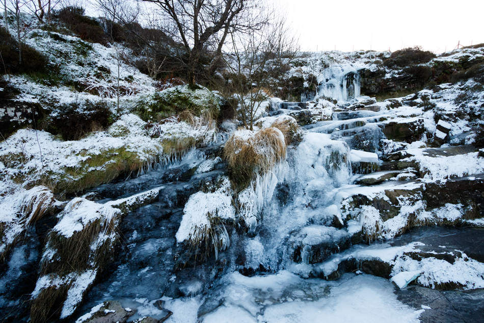 ICPhoto(qun)ƷՈ(qng)D(zhun)d