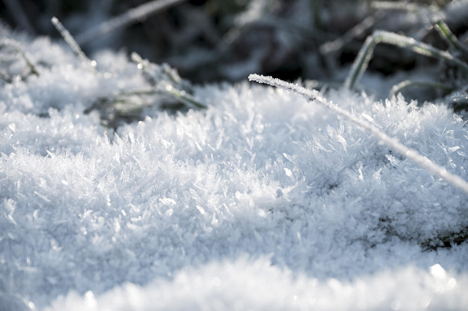 ICPhoto(qun)ƷՈ(qng)D(zhun)d