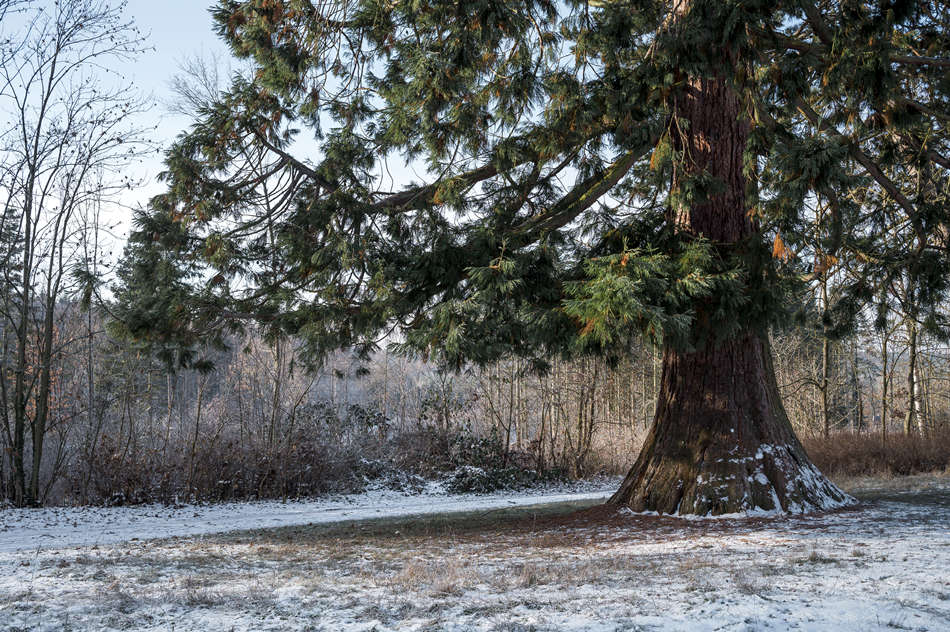 ICPhoto(qun)ƷՈ(qng)D(zhun)d