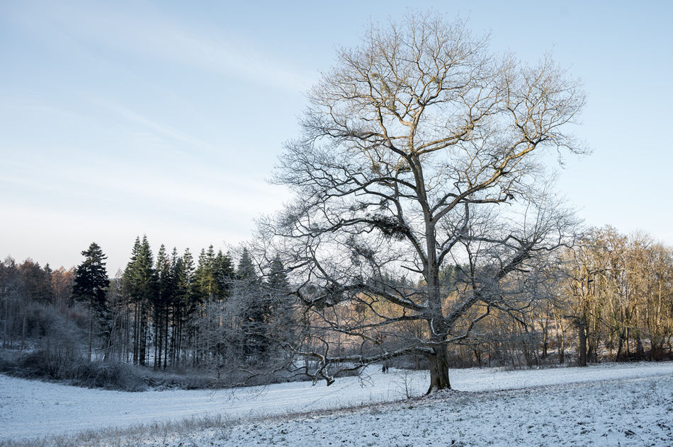 ICPhoto(qun)ƷՈD(zhun)d