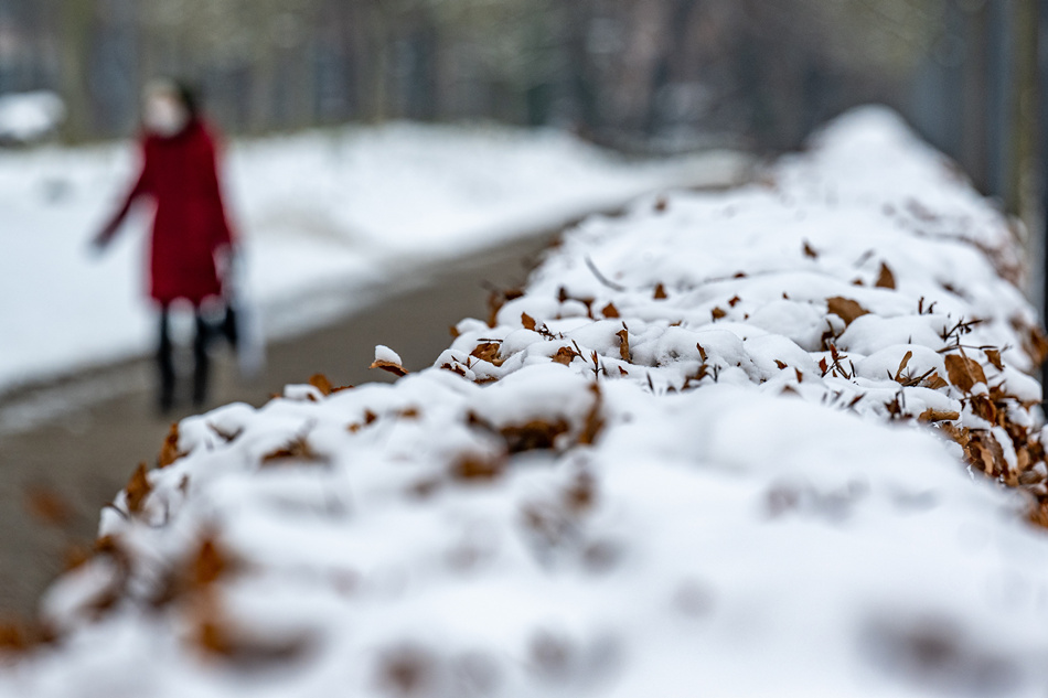 ICPhoto(qun)ƷՈD(zhun)d