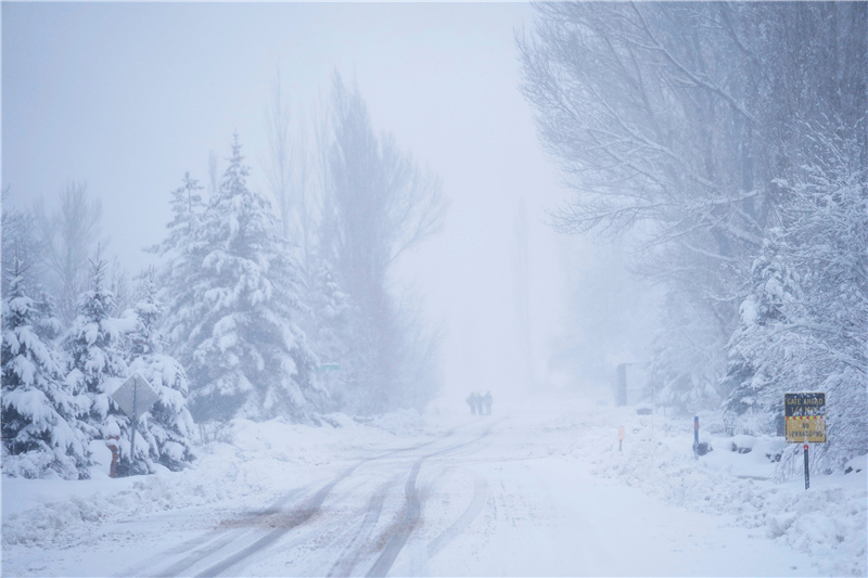 ICPhoto(qun)ƷՈ(qng)D(zhun)d