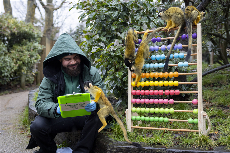 ؄(dng)@_(ki)ȱP(pn)c(din)