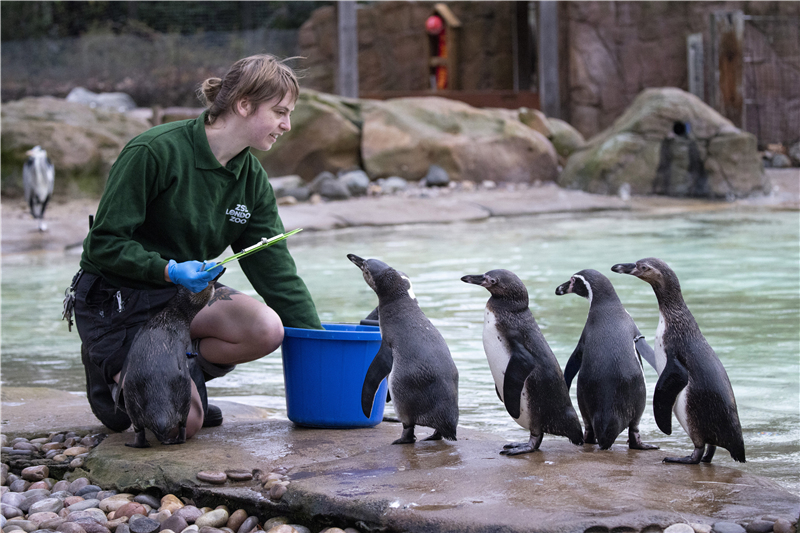 ICPhoto(qun)ƷՈD(zhun)d