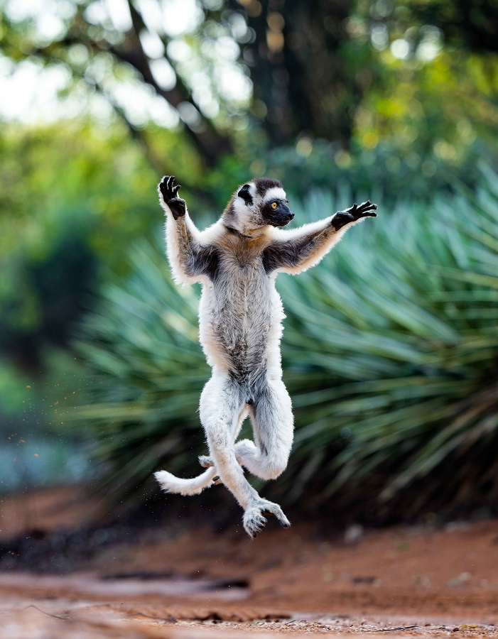 IC Photo(qun)ƷՈD(zhun)d