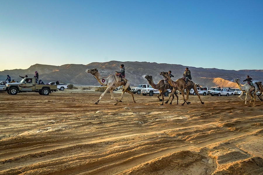 IC Photo(qun)ƷՈD(zhun)d