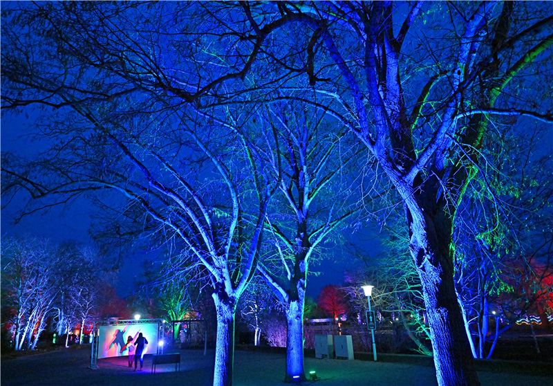 ICPhoto(qun)ƷՈ(qng)D(zhun)d