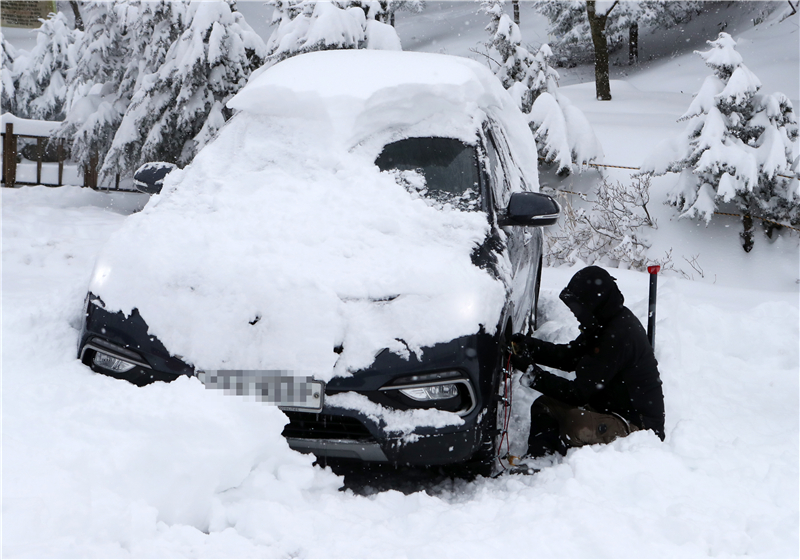 ICPhotoƷՈDd