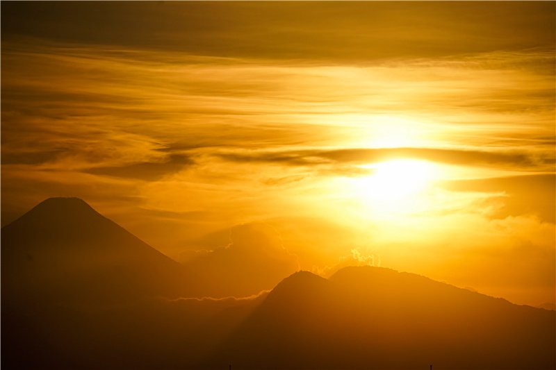 ICPhotoƷՈDd