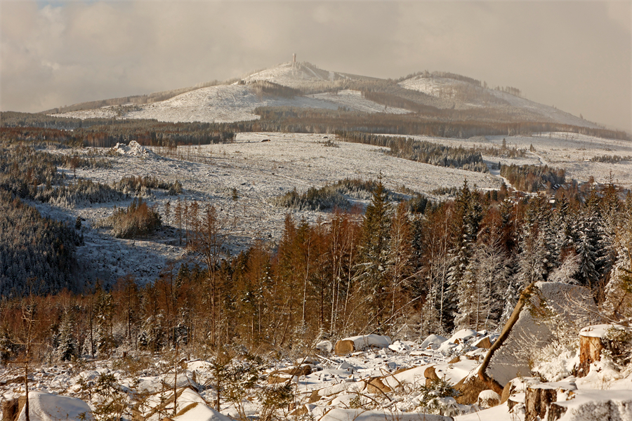 ICPhoto(qun)ƷՈD(zhun)d