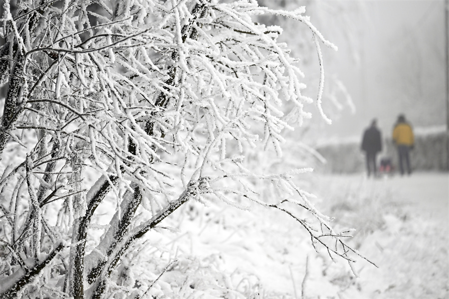 IC Photo(qun)ƷՈD(zhun)d