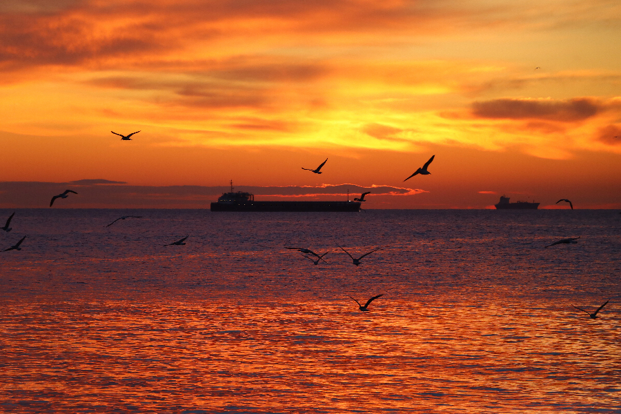 IC Photo(qun)ƷՈD(zhun)d