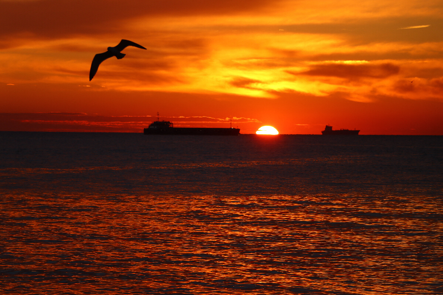 IC Photo(qun)ƷՈ(qng)D(zhun)d