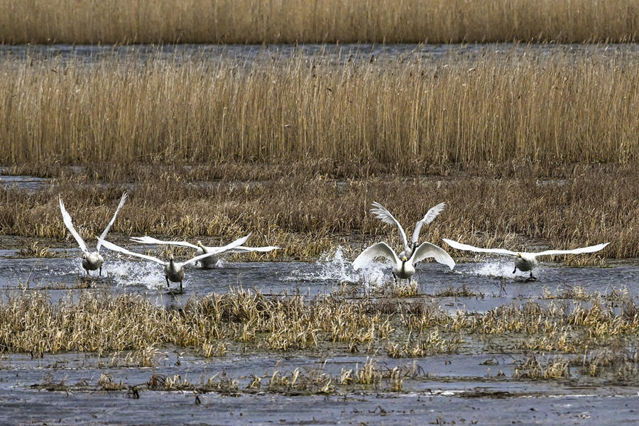 ICPhotoƷՈD(zhun)d