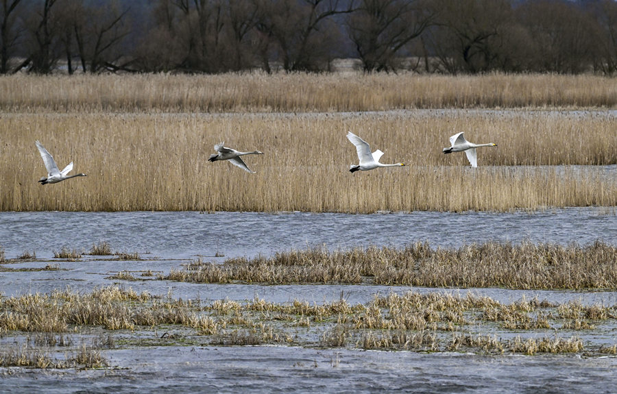 ICPhoto(qun)ƷՈ(qng)D(zhun)d