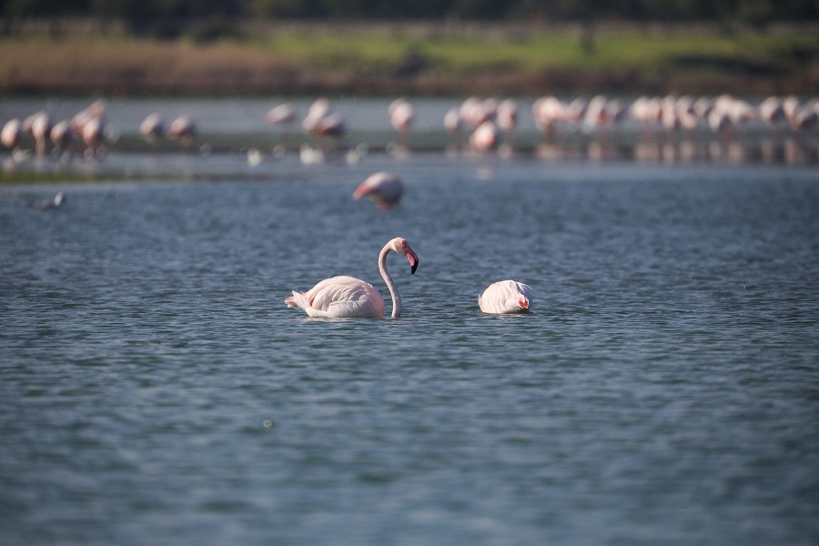 IC Photo(qun)ƷՈD(zhun)d