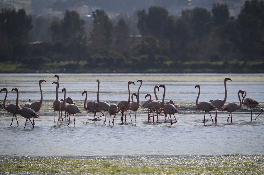 IC Photo(qun)ƷՈD(zhun)d