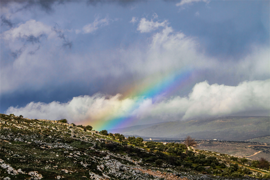 IC Photo(qun)ƷՈD(zhun)d