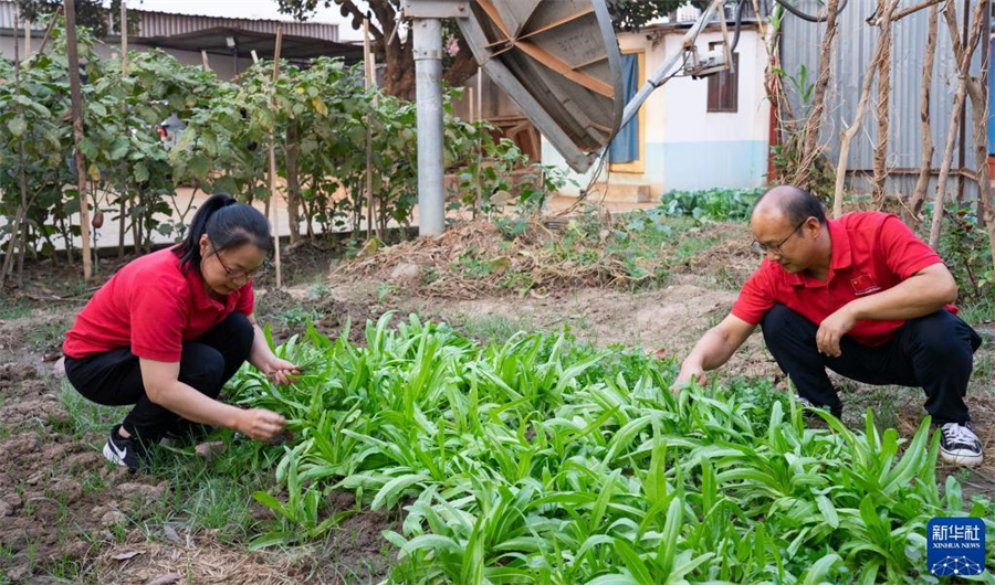 214зǹ͇׶༪19ԮзЇt(y)ꠋDt(y)ϼ󣩺t(y)܊vز˵β19ԮзЇt(y)꠳ɆT㽭ʡdt(y)t(y)ɼdt(y)Ժɳt(y)20226µ_зǹ͇_ʼ18µԮt(y)΄2023210t(y)꠹T\16675˴g(sh)476_ʩoz2950˴Aӛ x z